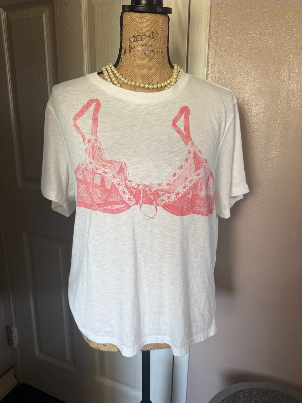 American Eagle Outfitters White Tee with Pink Bra Graphic